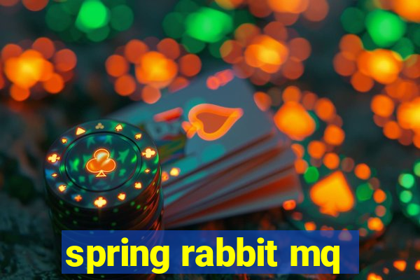 spring rabbit mq
